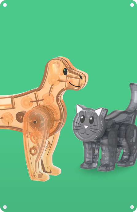 Animals